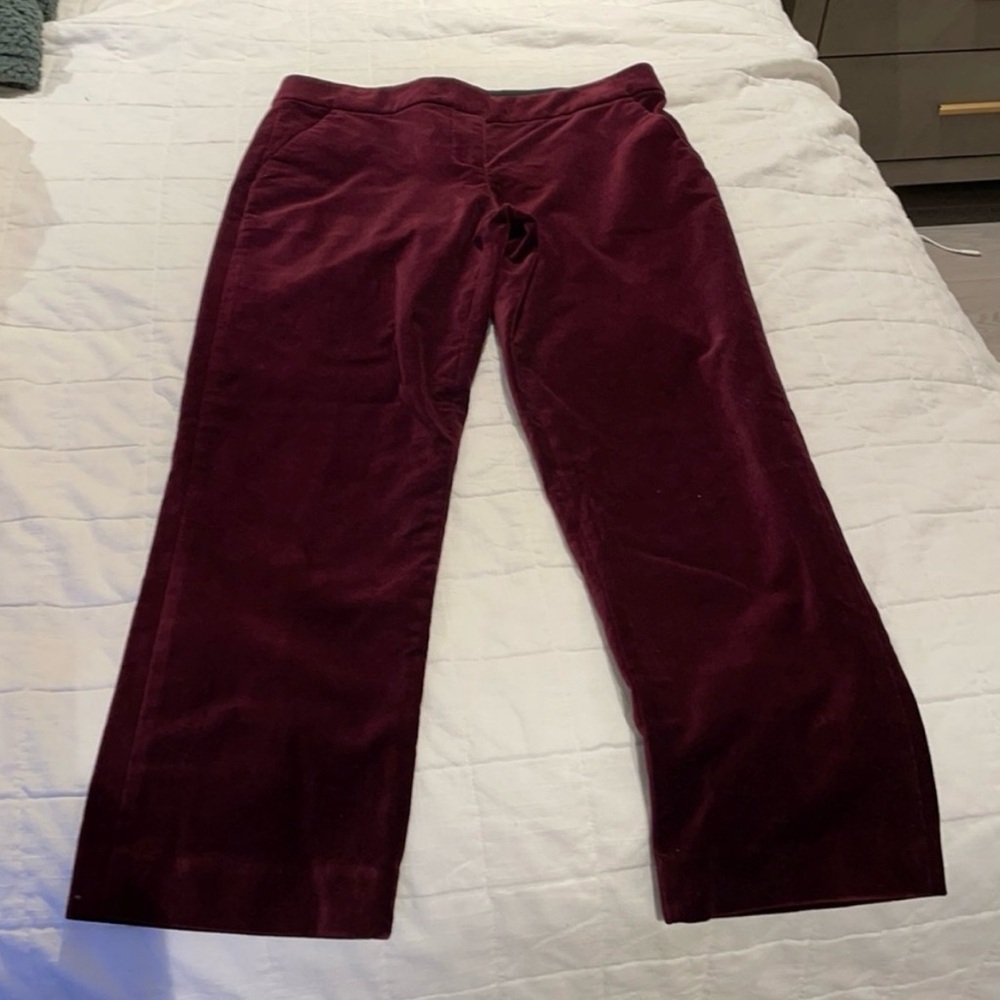 A.L.C. Velvet burgundy pant.